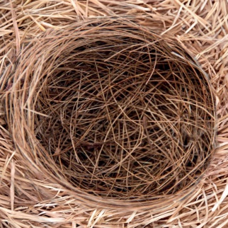 Ostern 2025